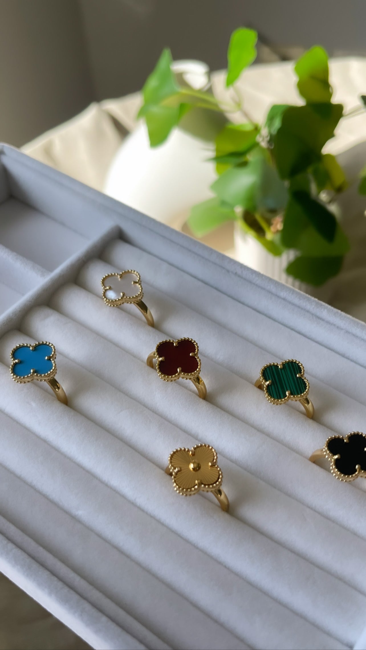 Clover Rings